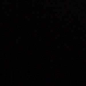 Meet your Posher, Maya